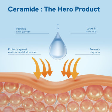 Be Bodywise 0.5% Ceramides Lotion 200ml | For Dull & Dry Skin | Strengthens Skin Barrier, Prevents Dryness & Locks In Moisture | With 3 Essential Ceramides, Hyaluronic Acid & Turmeric Extract